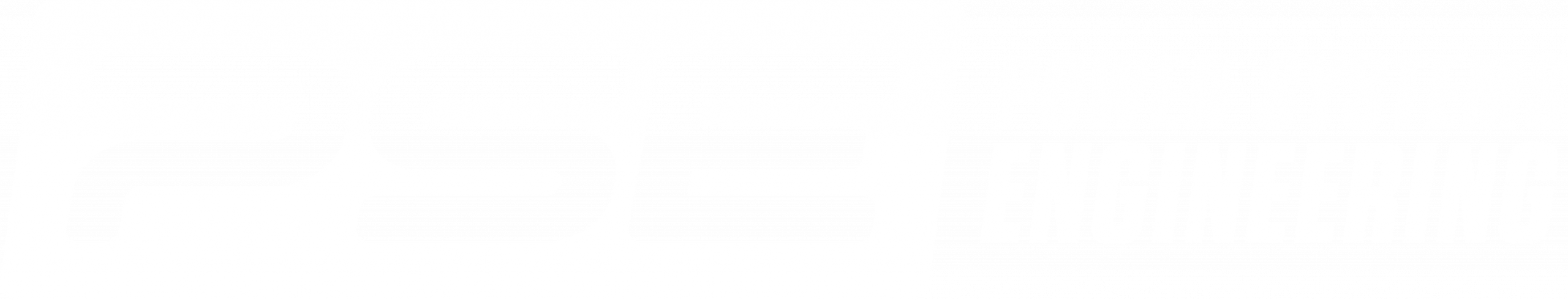 PSE_Logo_WHITE